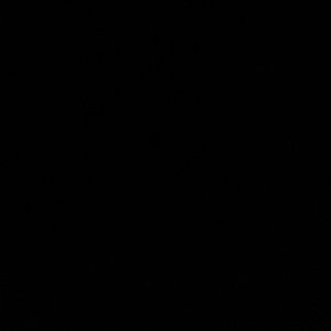 Meet your Posher, Ariella